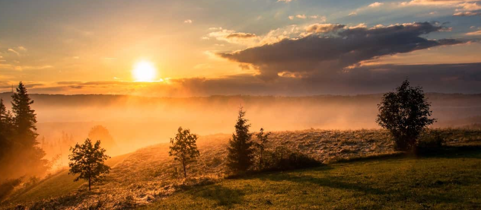 Imagen del artículo: El arte de encender con propósito